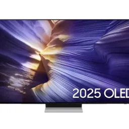 Samsung QE55S90FAEXUA