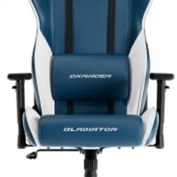 DXRacer Gladiator-L-N23-LTC-BW-X1